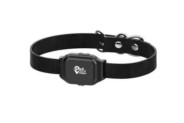 קולר GPS לבעלי חיים עם סים מובנה  2.0 Kidiwatch
