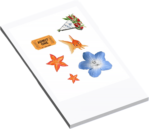 נייר הדפסה בחום עבור מדפסת תמונות ניידת Heat Transfer Photo Paper - (20 יחידות) Nelko