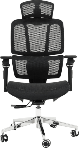 כיסא משרדי ארגונומי LUXE - שחור Standly