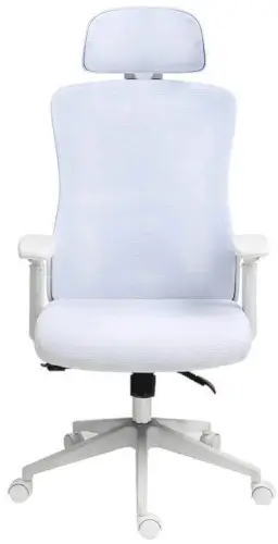 כיסא משרד ארגונומי  R70 Dragon Smart Tech