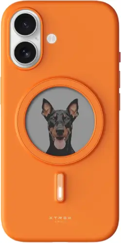 חיפוי לסמארטפון עם מסך Instant עבור iPhone 17 - כתום XTREM INNO