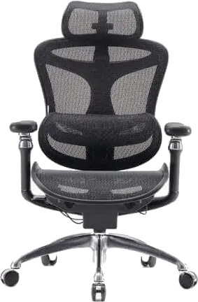 כסא מנהלים Doro C300 Pro SIHOO