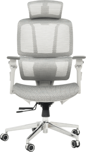כיסא משרדי ארגונומי LUXE - אפור Standly
