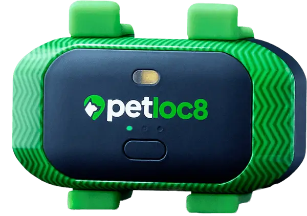 קולר GPS לבעלי חיים petloc8 petloc8
