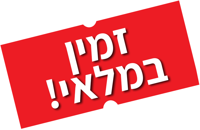 זמין במלאי