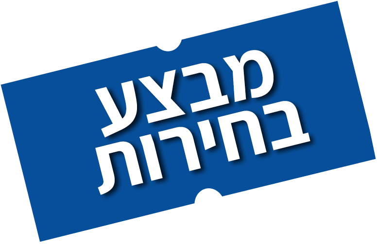 מבצע בחירות