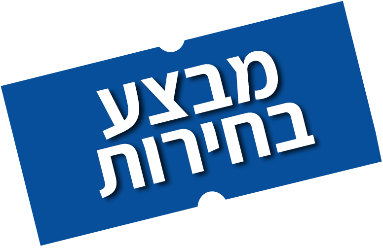 מבצע בחירות